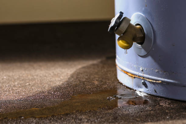 Best 24-hour water damage restoration  in Boyce, LA