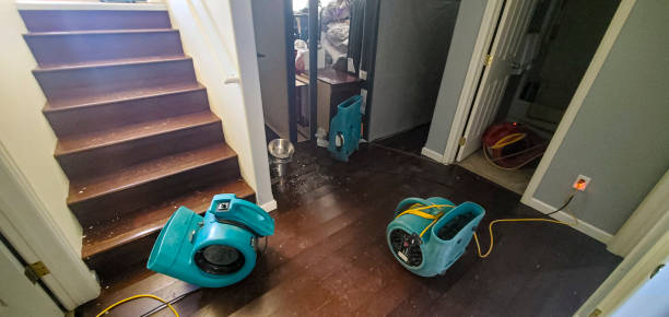 Best Residential water damage restoration  in Boyce, LA