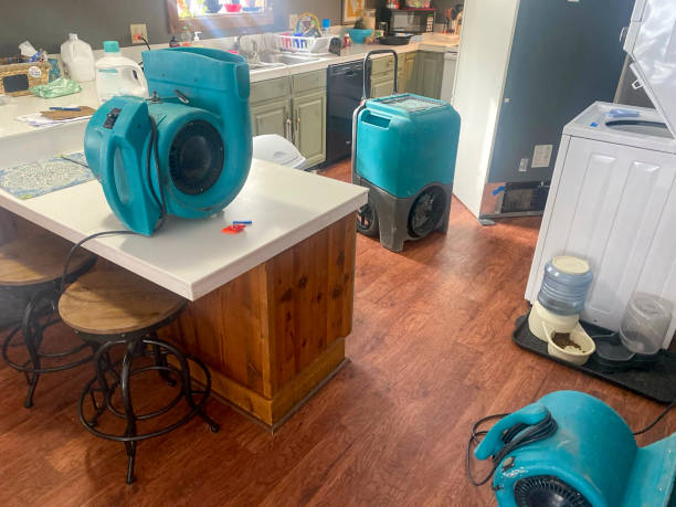 Best Emergency water damage restoration  in Boyce, LA