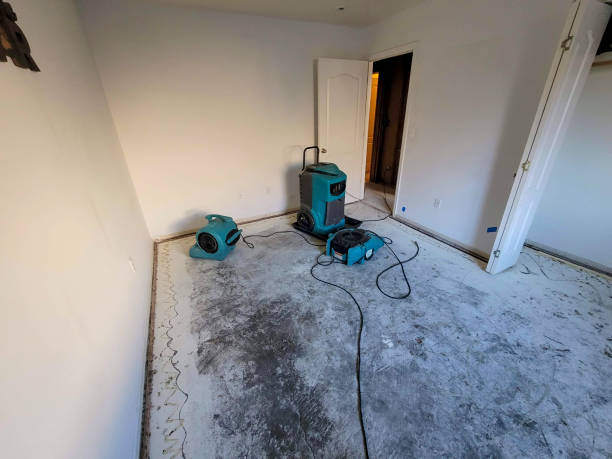 Best Professional water damage repair  in Boyce, LA