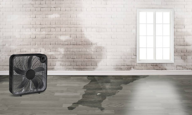 Best Water damage restoration near me  in Boyce, LA