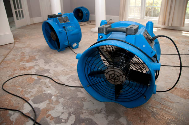 Professional Water damage restoration in Boyce, LA