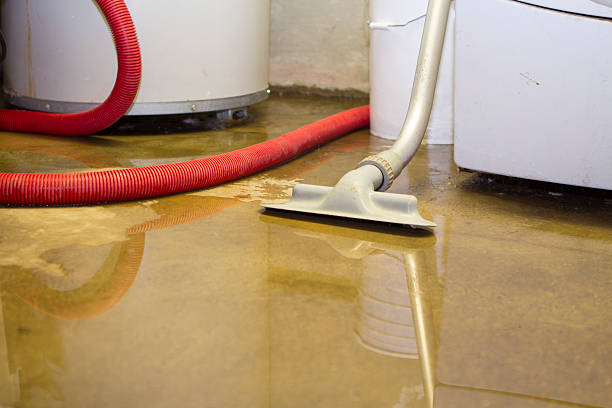 Best Carpet water damage restoration  in Boyce, LA