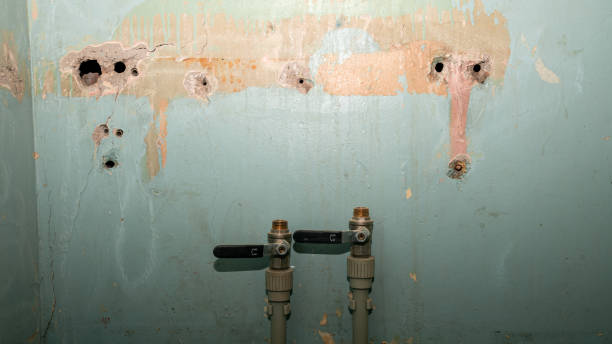 Water damage restoration insurance claims in Boyce, LA