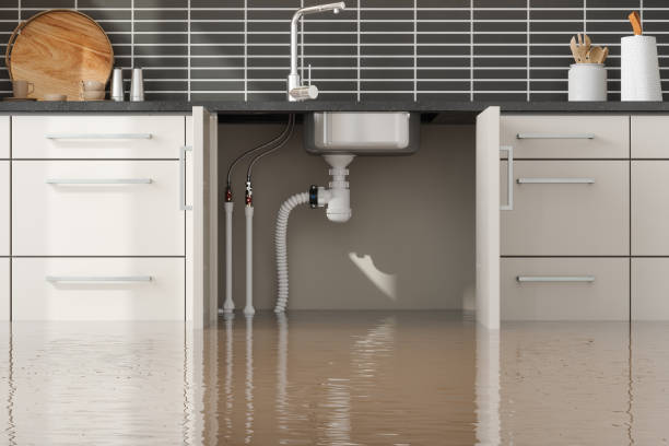 Best Water damage restoration company  in Boyce, LA