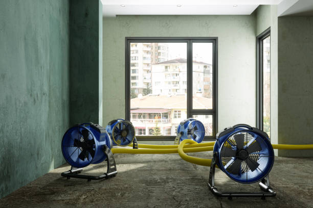 Best Flood restoration services  in Boyce, LA